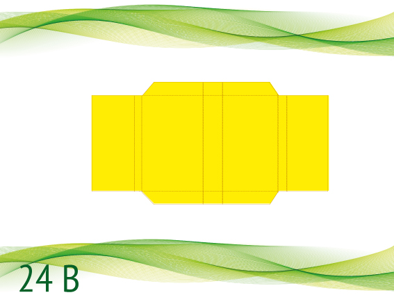 24 B