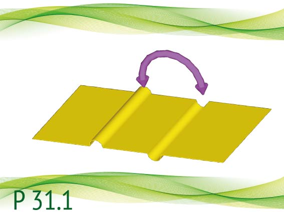 P 31.1