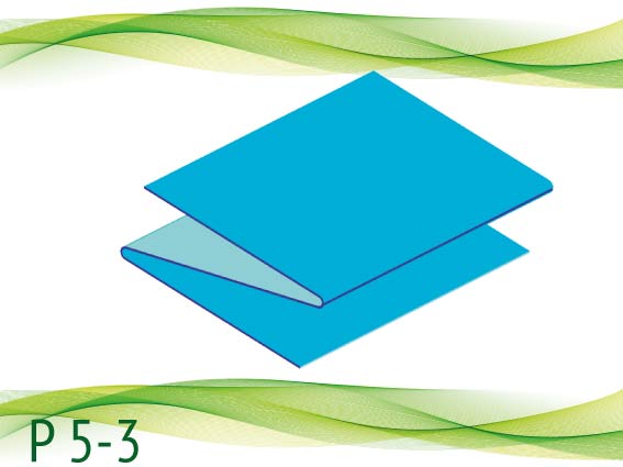 P 5-3