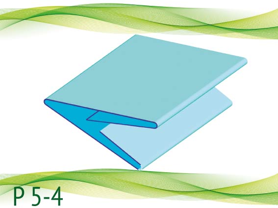 P 5-4