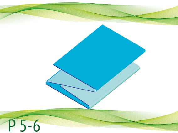 P 5-6