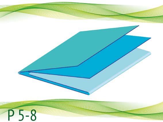 P 5-8